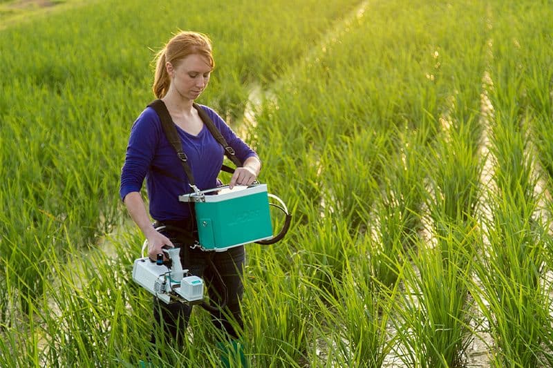 LI-6800 in a rice field