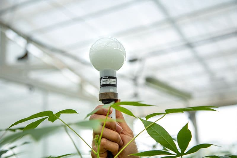 LI-193 Spherical Underwater Quantum Sensor