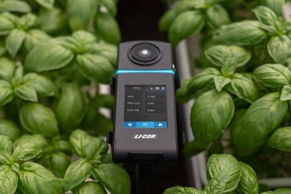 Light Measurement | LI-COR Environmental