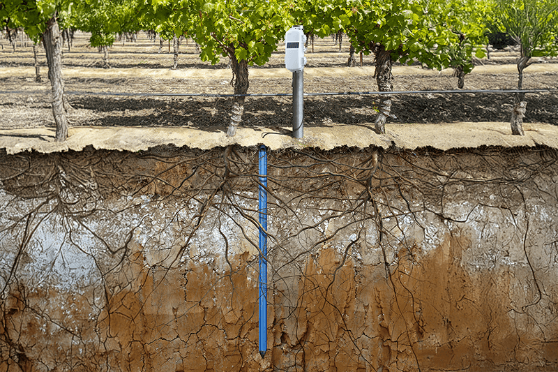 Multi-Depth Soil Moisture Temperature Sensor