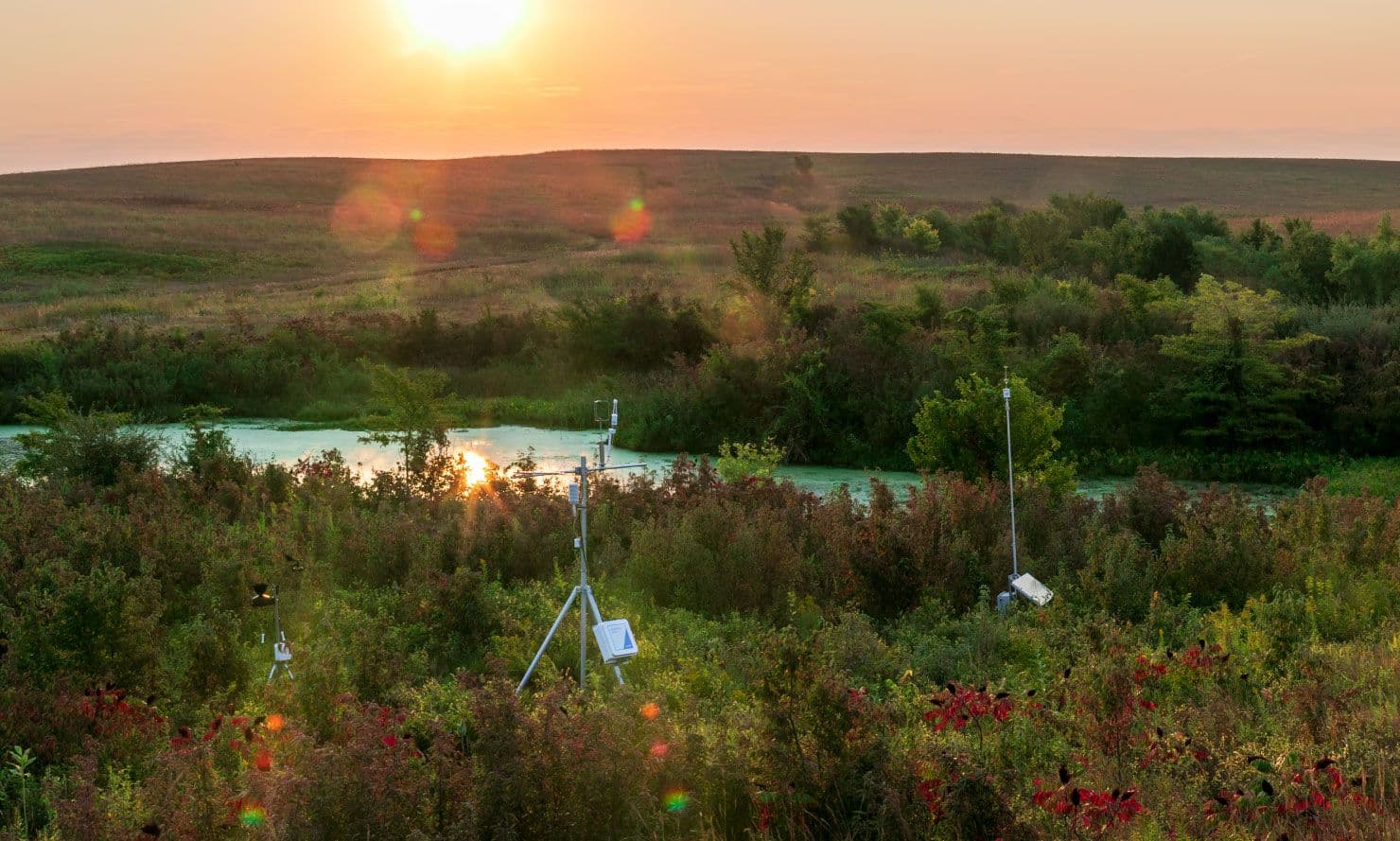 Application photo of an Eddy Covariance tower and Carbon Node in a field
