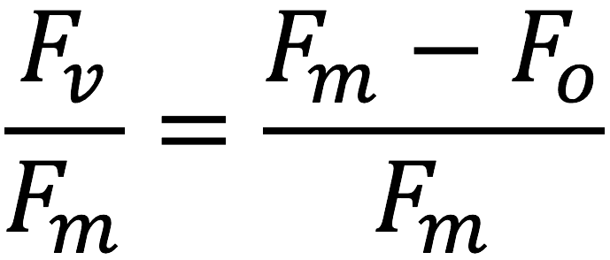equation for dark adapted leaves with the LI-600 Porometer Fluorometer