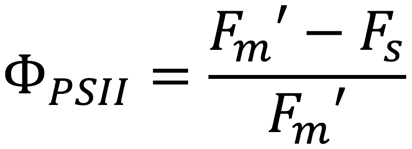 equation for light adapted leaves with the LI-600 Porometer Fluorometer