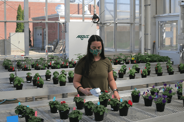 Laura Chapin taking measurements in a greenhouse.