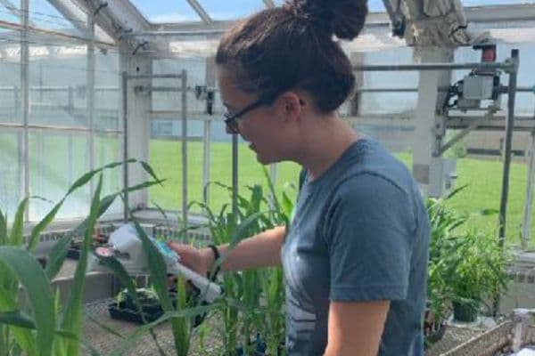Riley Henderson using the LI-600 to measure plants in a greenhouse.
