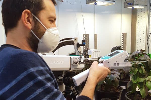 Dr. Boris Lazarević screening plants and gathering data.