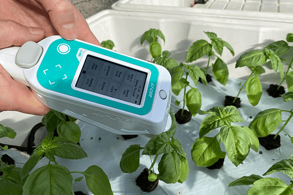 Hervé Maumus-Hue utilizing the LI-600 within the greenhouse.