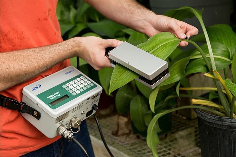 Plant Physiology Research Tools to Assess Plant Canopies and Health