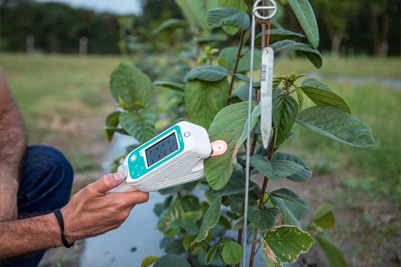 Plant Physiology Research Tools to Assess Plant Canopies and Health