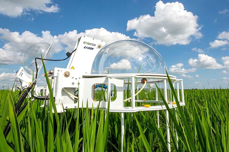 8200-105C Clear Automated Canopy Chamber