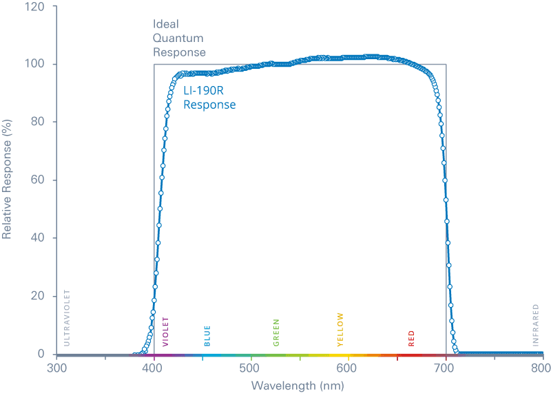 Quantum Response Photon Graph