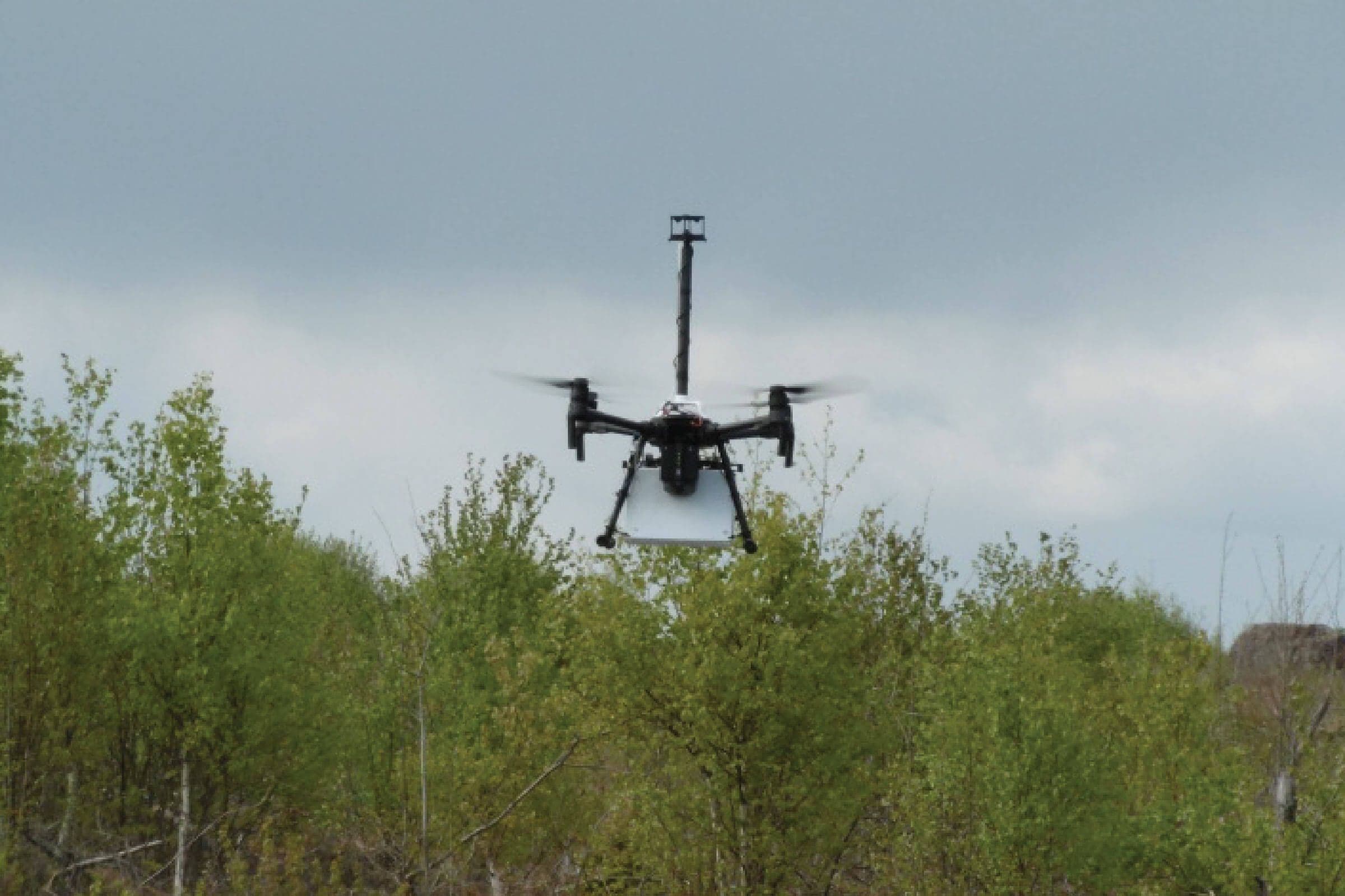 panoramic shot of the forest testing site with LI-COR soil chambers