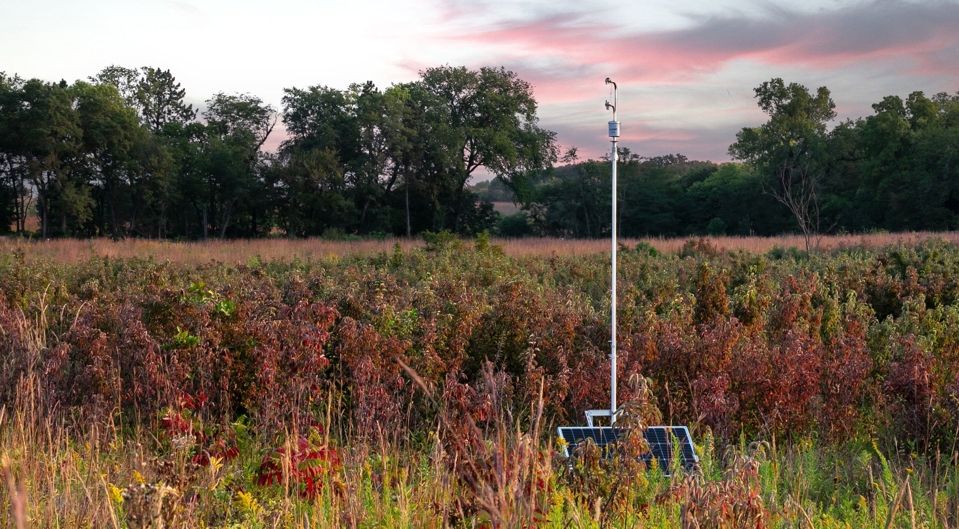 LI-COR Carbon Node named Internet of Environment Solution of the Year