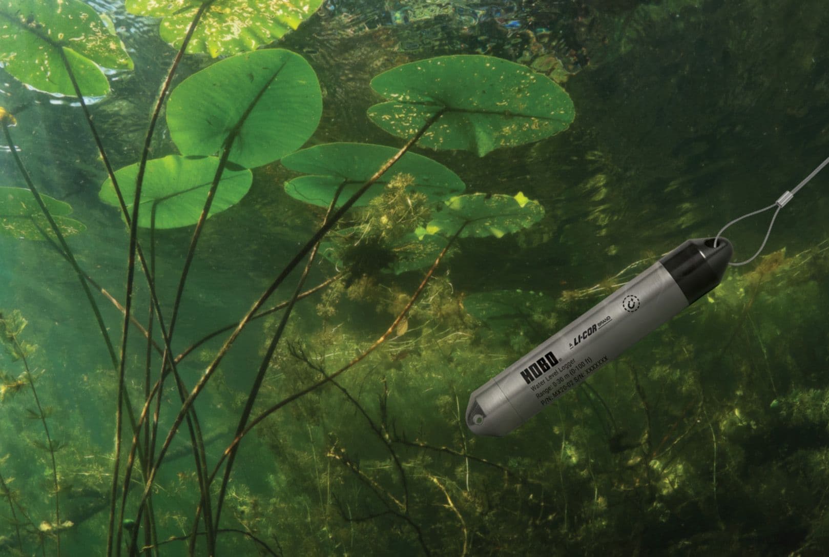 MX20 data logger in a lily pad pond