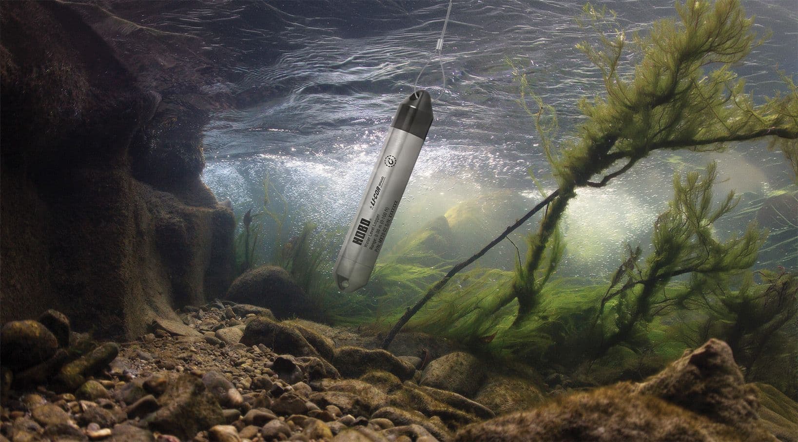 LI-COR Carbon Node named Internet of Environment Solution of the Year