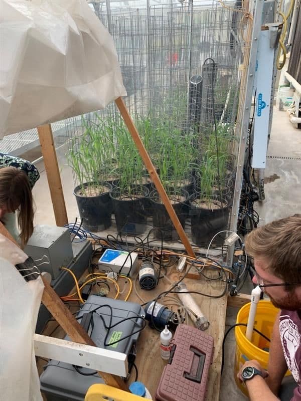 LI-COR trace gas analyzers and multiplexer in a doghouse