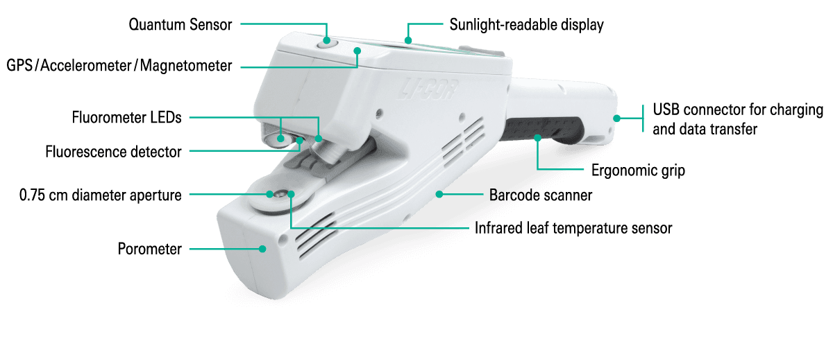 LI-600 Porometer/Fluorometer for Broad Leaves | LI-COR Environmental