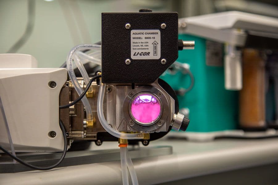 LI-6800 Measurements and Applications | LI-COR Environmental