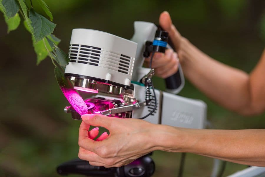 LI-6800 Measurements and Applications | LI-COR Environmental