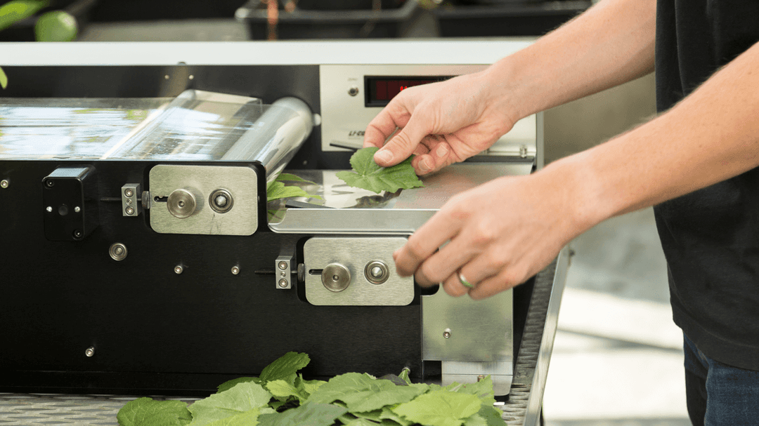 Leaf Area | LI-COR Environmental