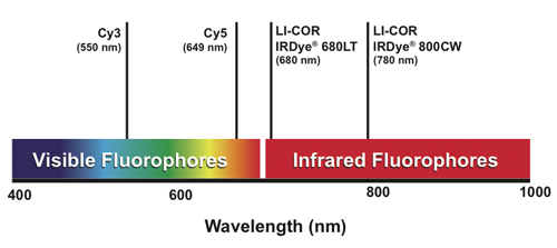 Near-infrared light harvesting of upconverting NaYF4:Yb3 