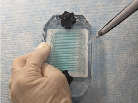 Loading the MPX using a single pipette