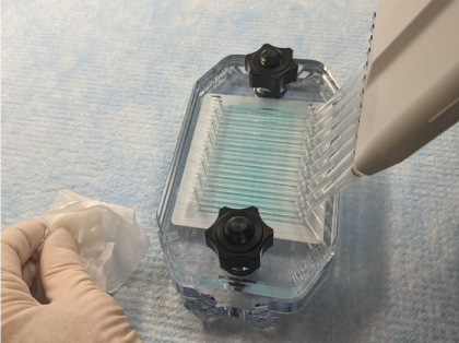 Loading the MPX using a multi-channel pipette