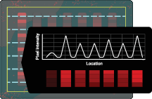 Segment intensity profile from the Empiria Studio adaptive lane finding process