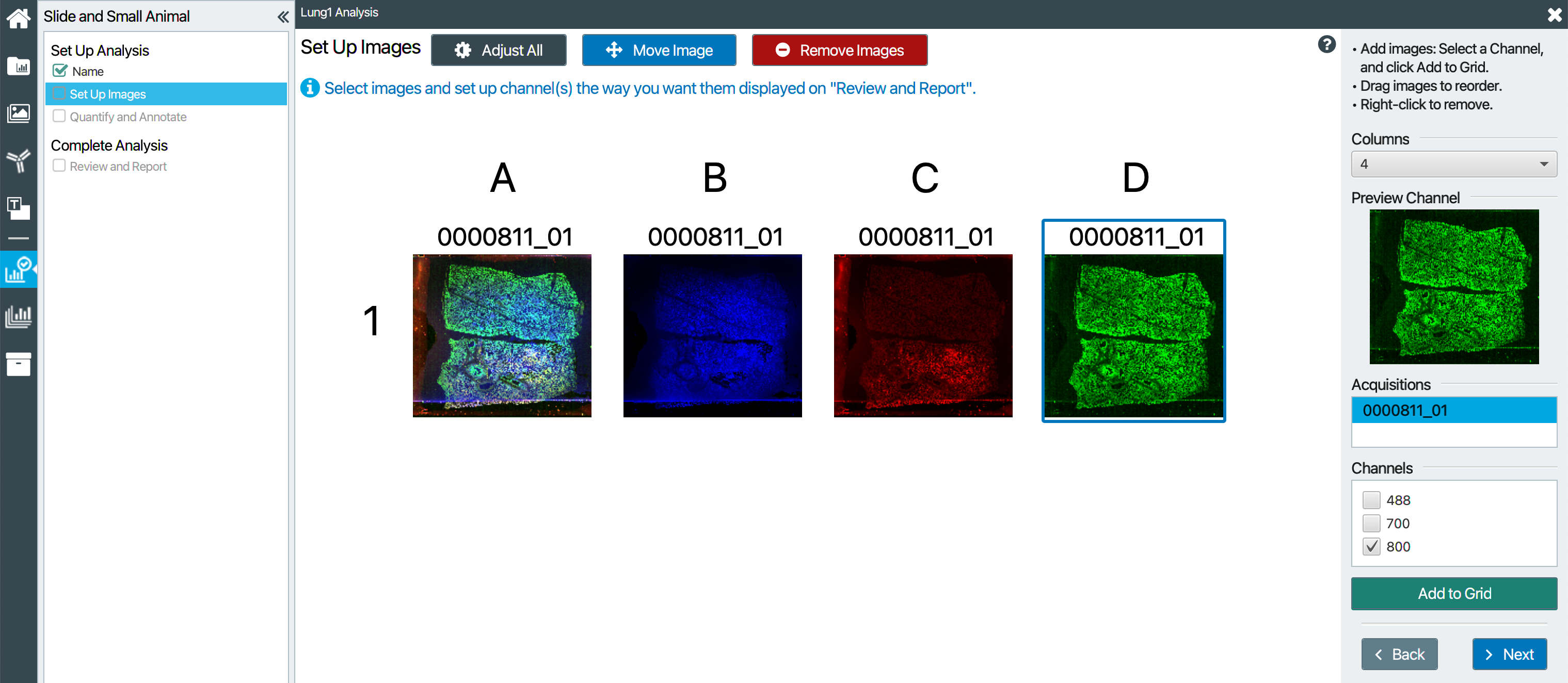 The Empiria Studio Set up images page with a slide acquisition arranged with all image channels overlaid followed by each channel individually.