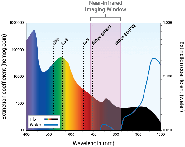 NIR imaging window graph
