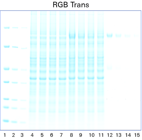 figure 1 RGB Trans
