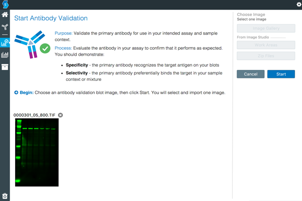 Empiria Studio Software antibody validation screen
