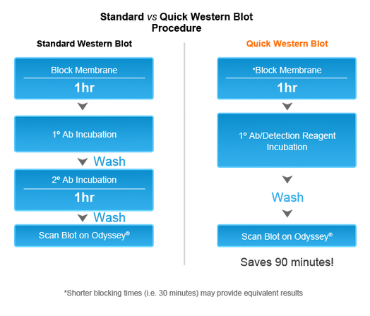 Quick Western Kit Workflow
