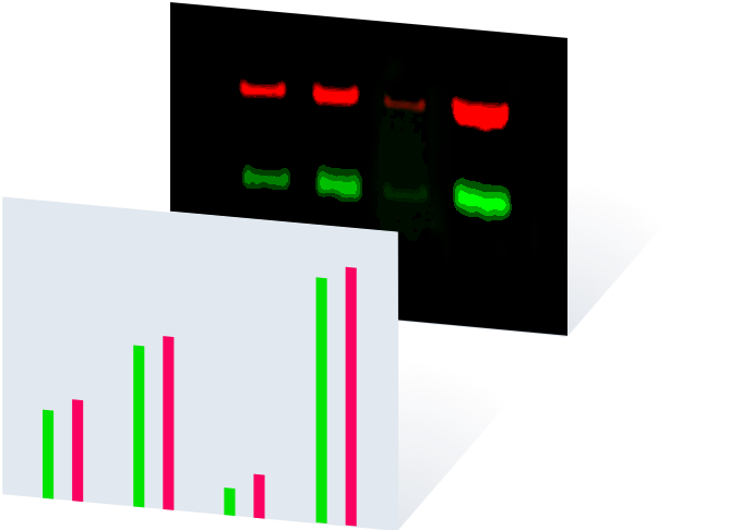 data illustration