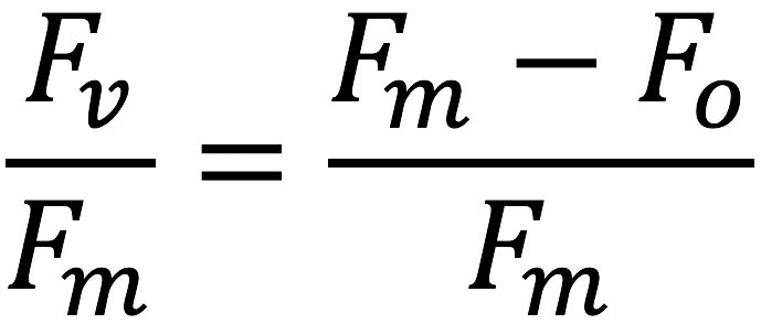 equation for dark adapted leaves with the LI-600 Porometer Fluorometer