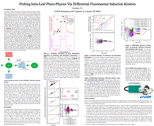 Probing Intra-Leaf Photo-Physics Via Differential Fluorescence Induction Kinetics Poster