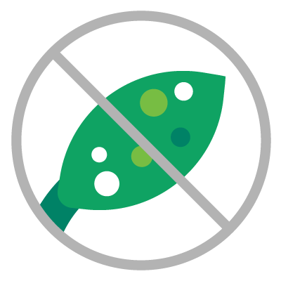 leaf disease icon