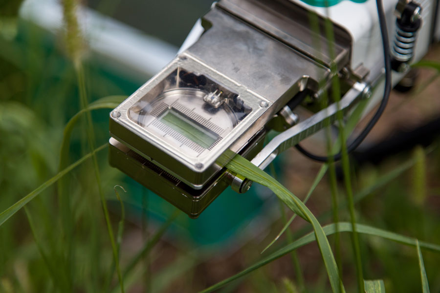 6800-12A clear-top chamber measuring a blade of grass