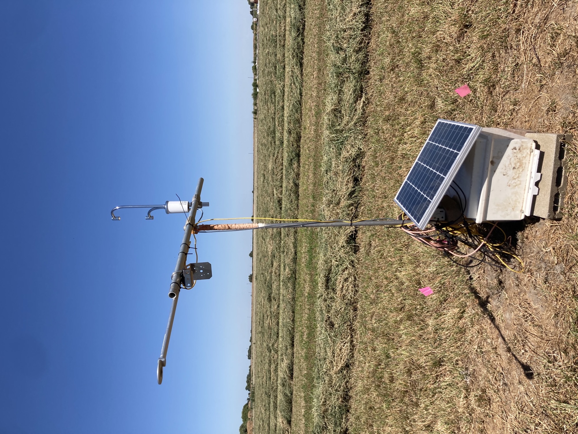 LI-COR LI-710 Evapotranspiration Sensor in an alfalfa field