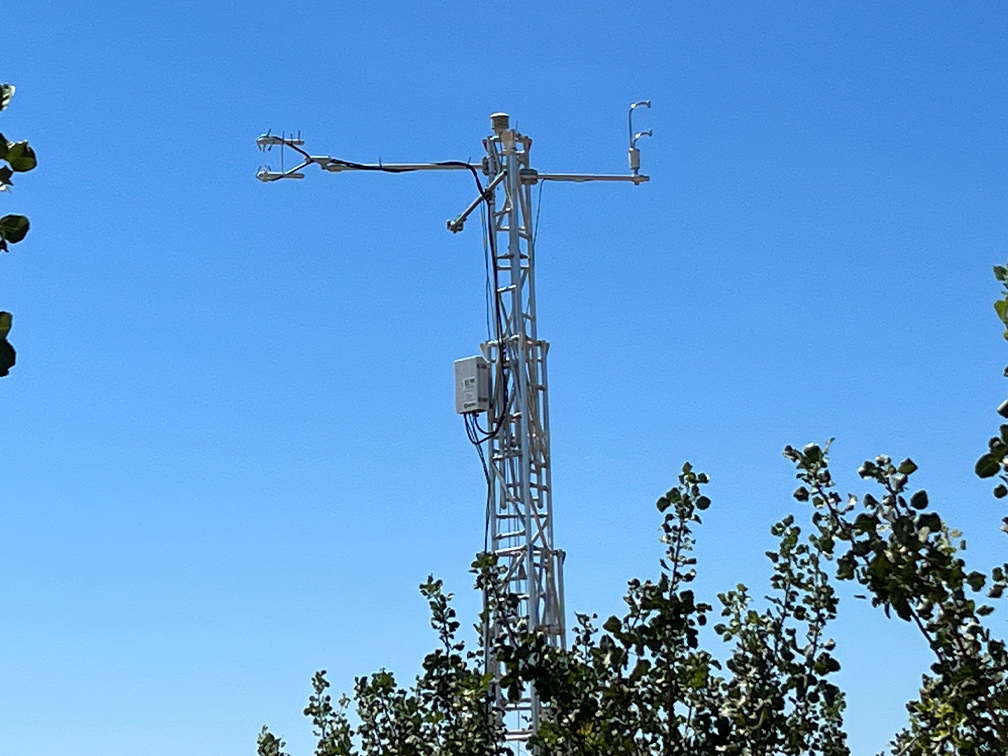 LI-COR LI-710 deployed in pistachio orchard