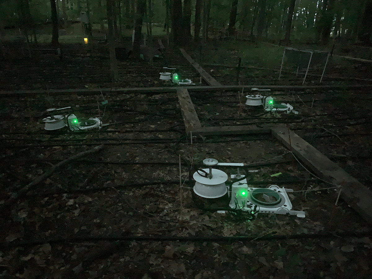 a nighttime image of the LI-COR soil chambers at the testing site