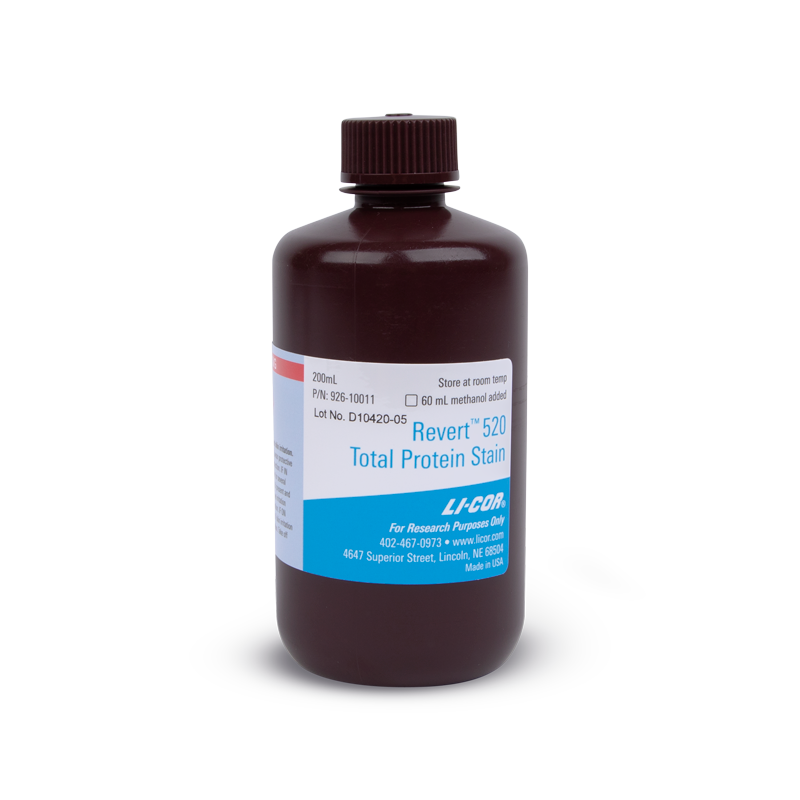 Revert 520 Total Protein Stain for Western Blot Normalization